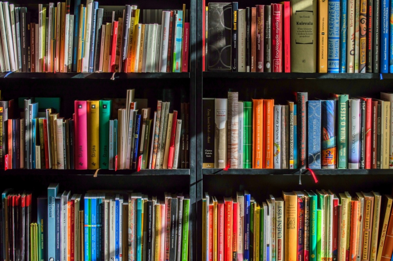 boutique-RIANS-min_books_bookstore_book_reading_shop_writer_sale_books_read-822866